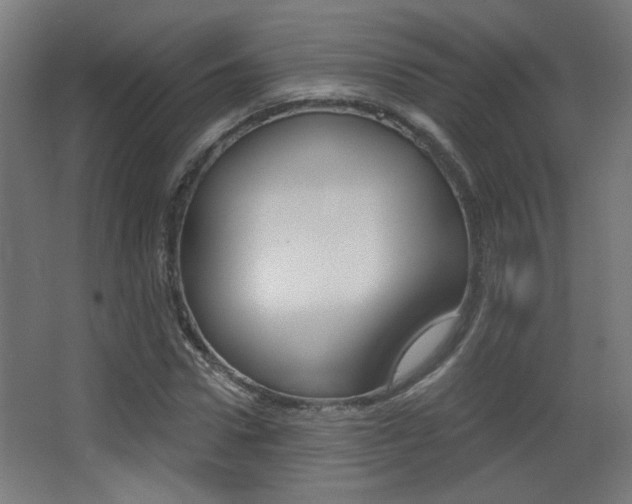 X0000068300922200604211007