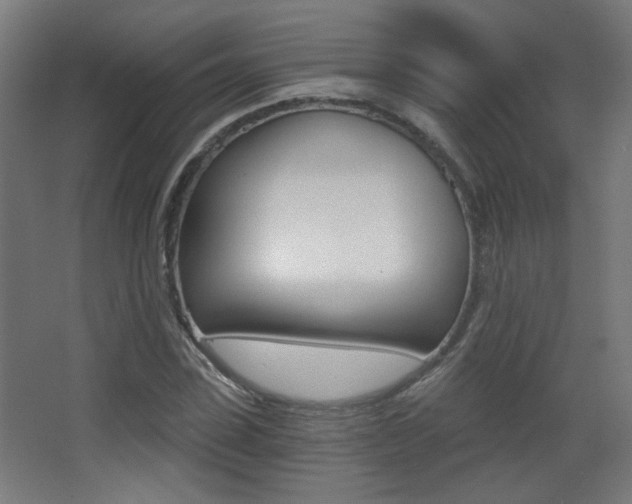 X0000068300923200604211007