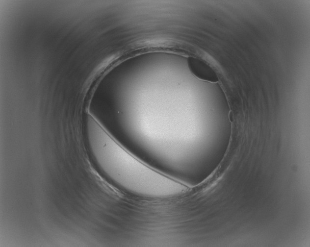 X0000068300930200604211007