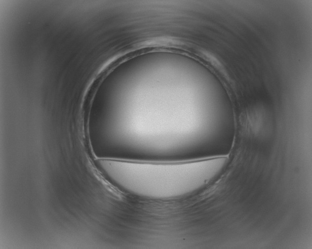 X0000068300931200604211007