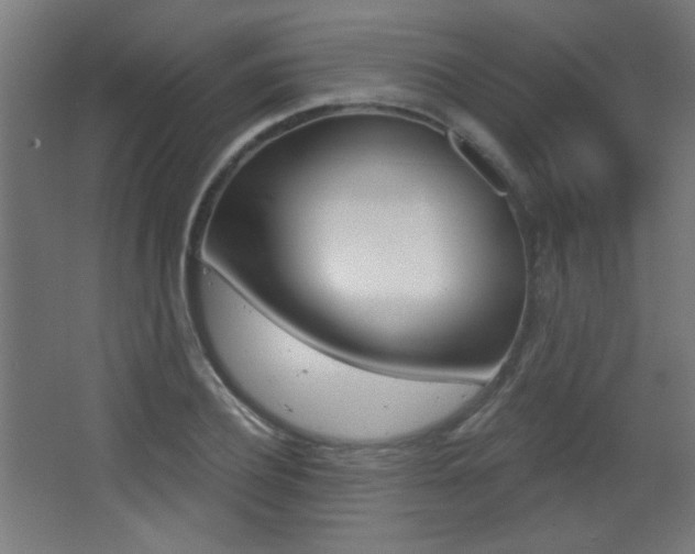 X0000068300932200604211007