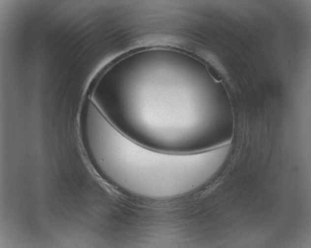 X0000068300936200604211007