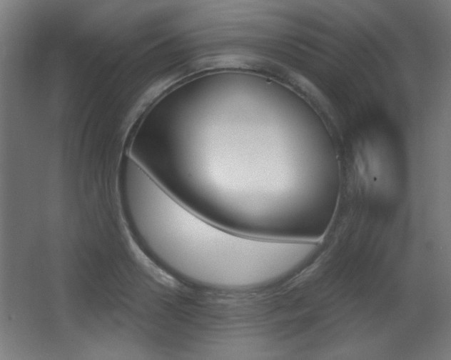 X0000068300938200604211007