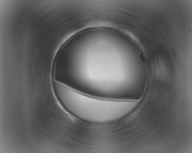 X0000068300943200604211007