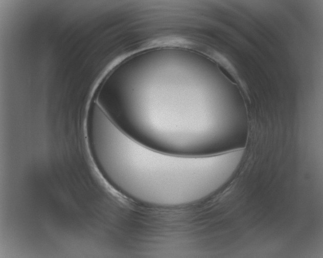 X0000068300947200604211007