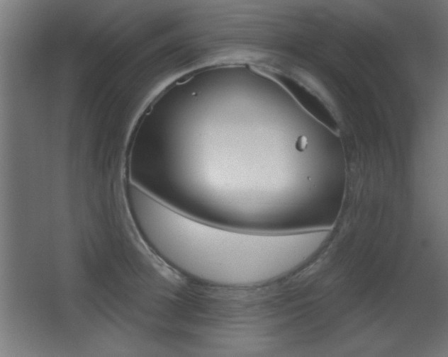 X0000068300948200604211007