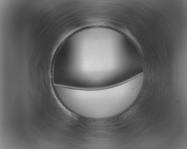X0000068300951200604211007