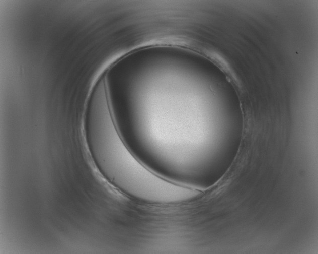 X0000068300952200604211007
