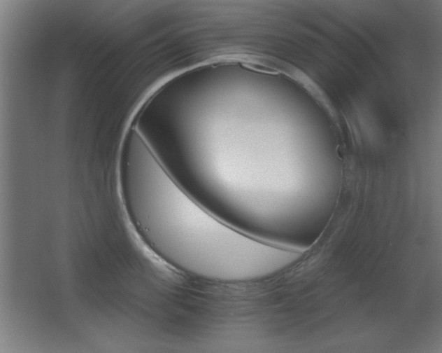 X0000068300955200604211007