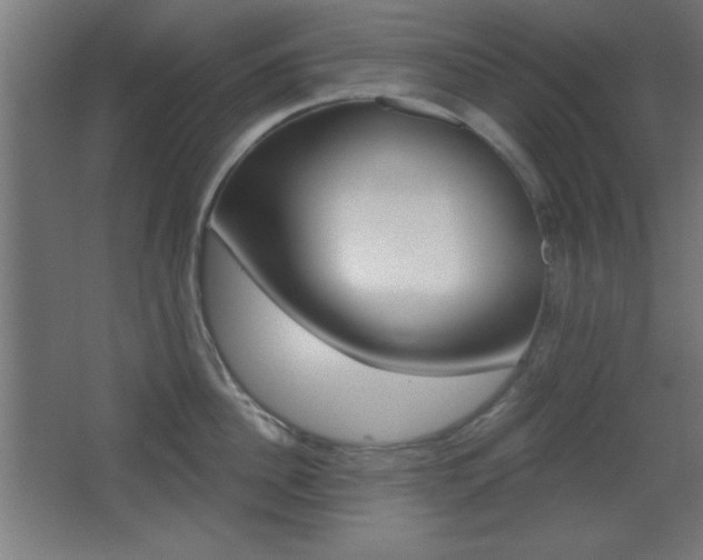 X0000068300956200604211007