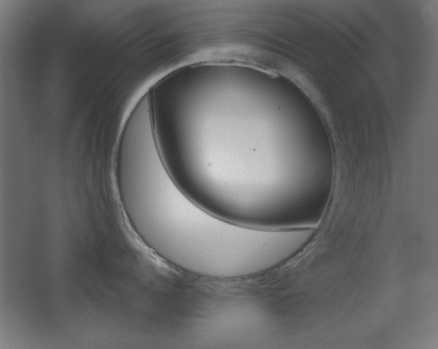 X0000068300960200604211007