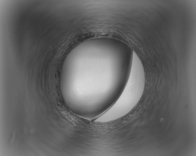 X0000068300961200604211006