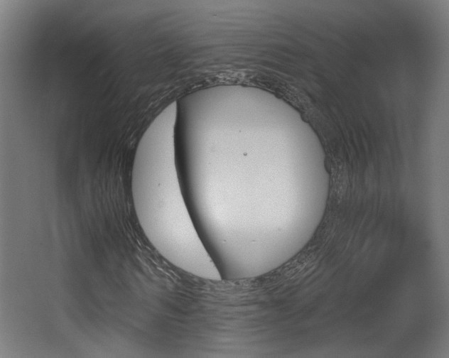 X0000068300962200604211006