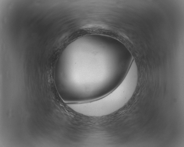 X0000068300965200604211006