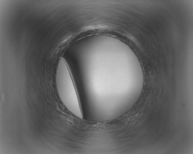 X0000068300967200604211006