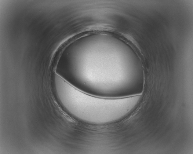 X0000068300971200604211006