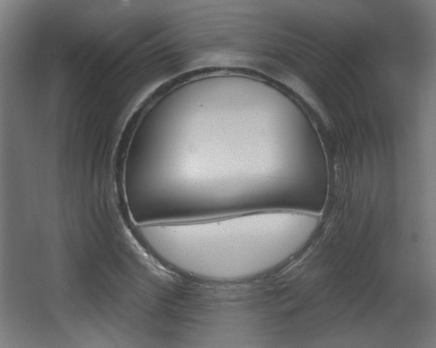 X0000068300972200604211006
