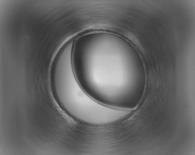 X0000068300976200604211006