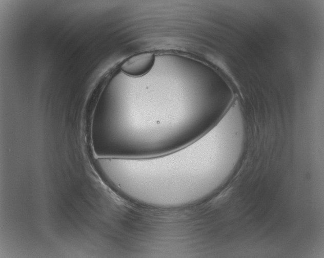 X0000068300979200604211006