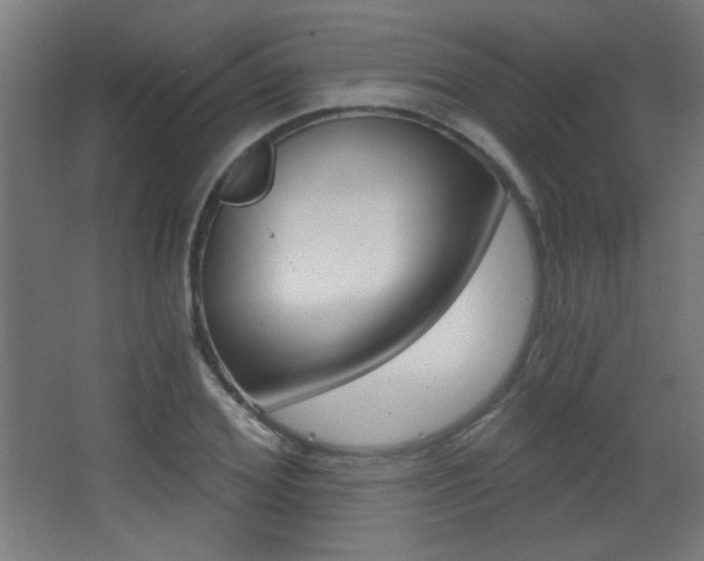 X0000068300980200604211006