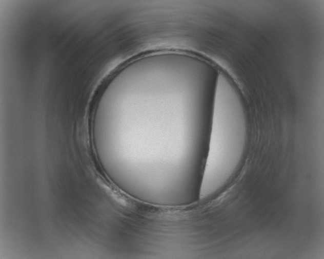 X0000068300982200604211006