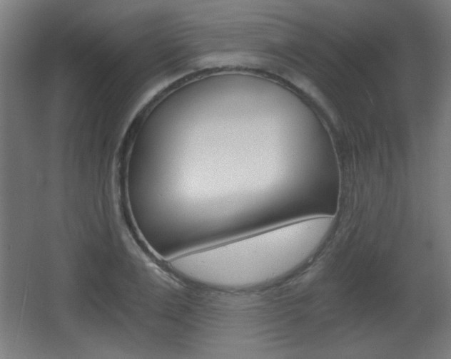 X0000068300983200604211006