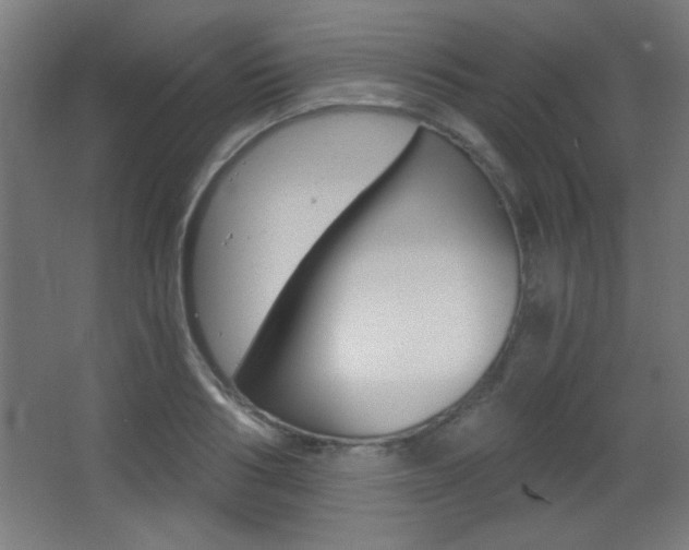 X0000068300986200604211006