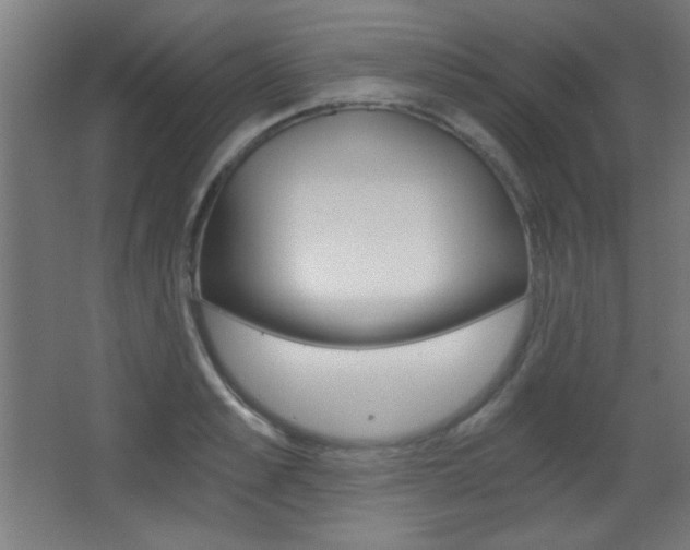 X0000068300989200604211006