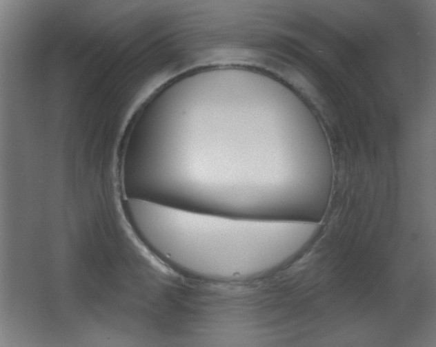 X0000068300990200604211006