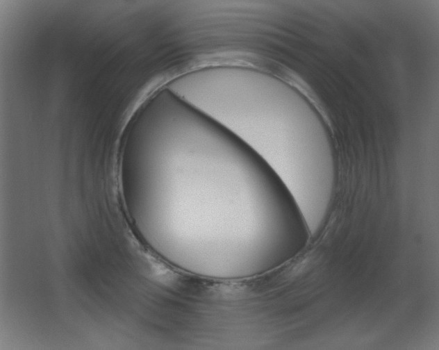 X0000068300994200604211006