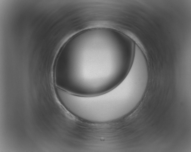 X0000068300996200604211006