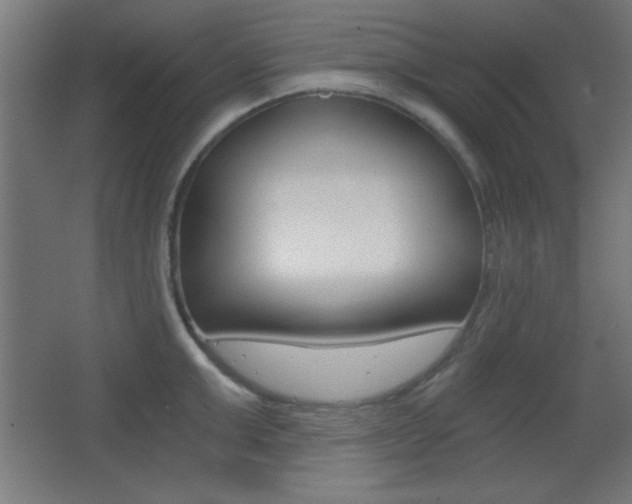 X0000068300999200604211006