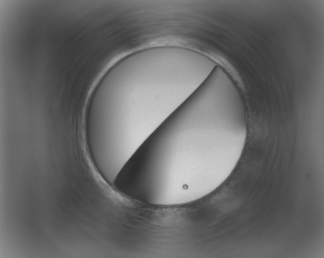 X0000068301000200604211006