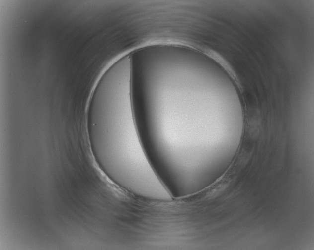 X0000068301004200604211006