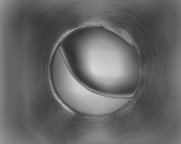 X0000068301005200604211006
