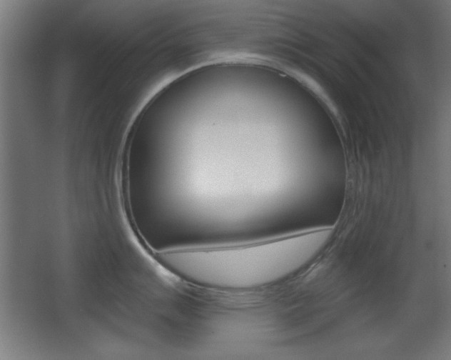 X0000068301007200604211006