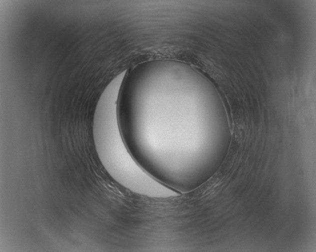 X0000068301010200604211005