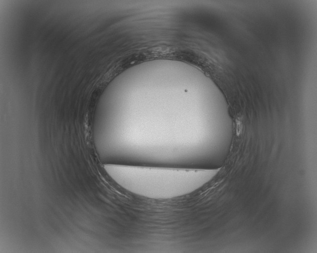 X0000068301011200604211005
