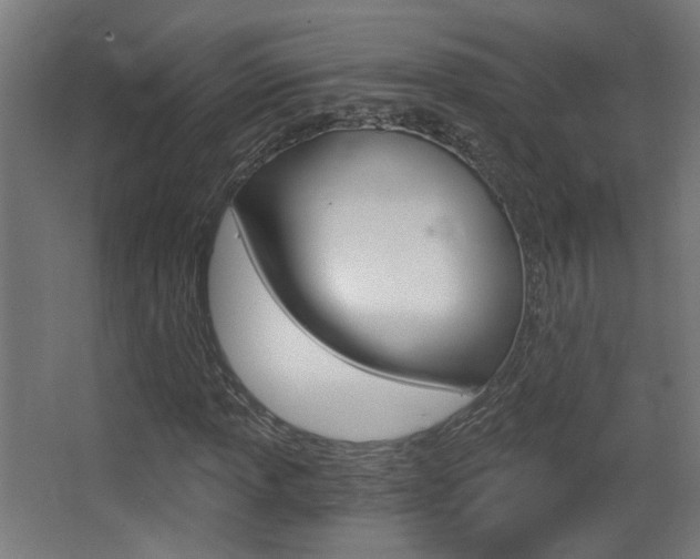 X0000068301013200604211005