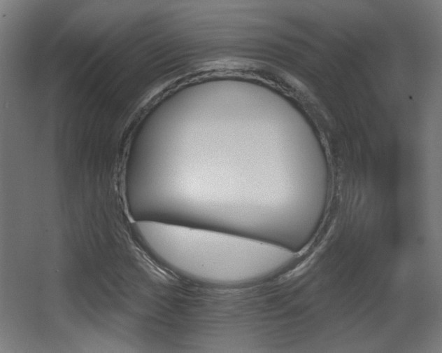 X0000068301017200604211005