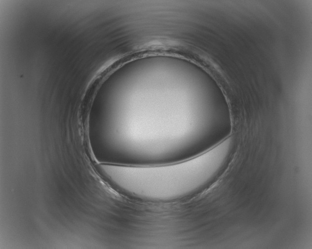 X0000068301018200604211005
