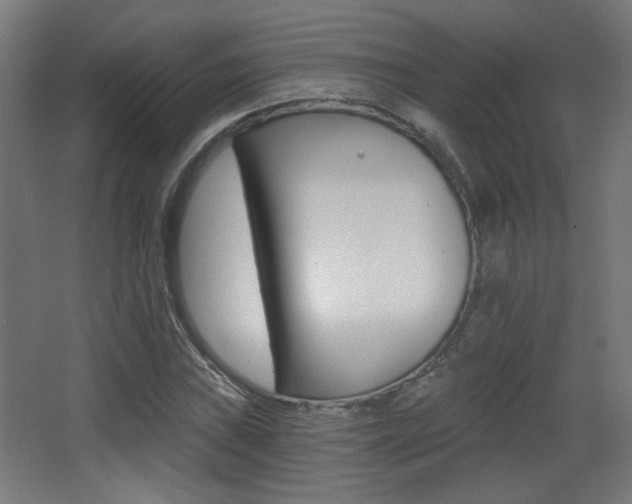 X0000068301019200604211005