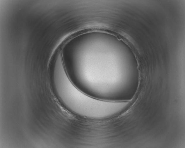 X0000068301022200604211005