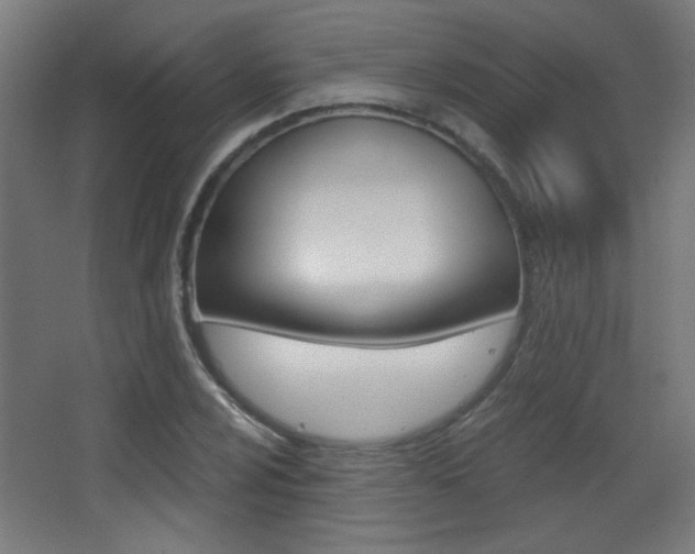X0000068301024200604211005