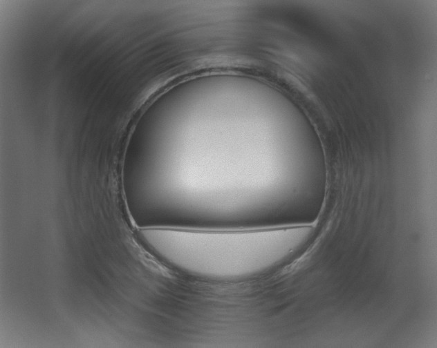 X0000068301025200604211005