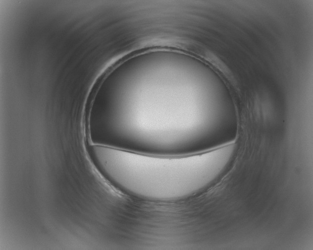 X0000068301028200604211005