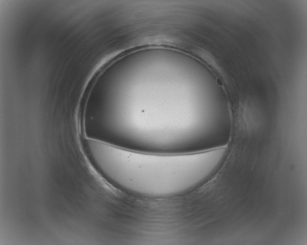 X0000068301032200604211005