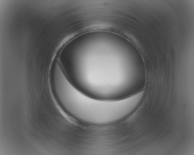 X0000068301034200604211005