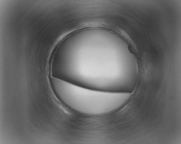 X0000068301035200604211005