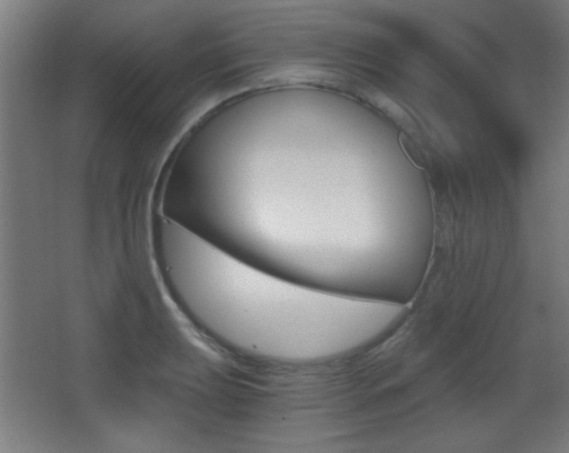 X0000068301039200604211005